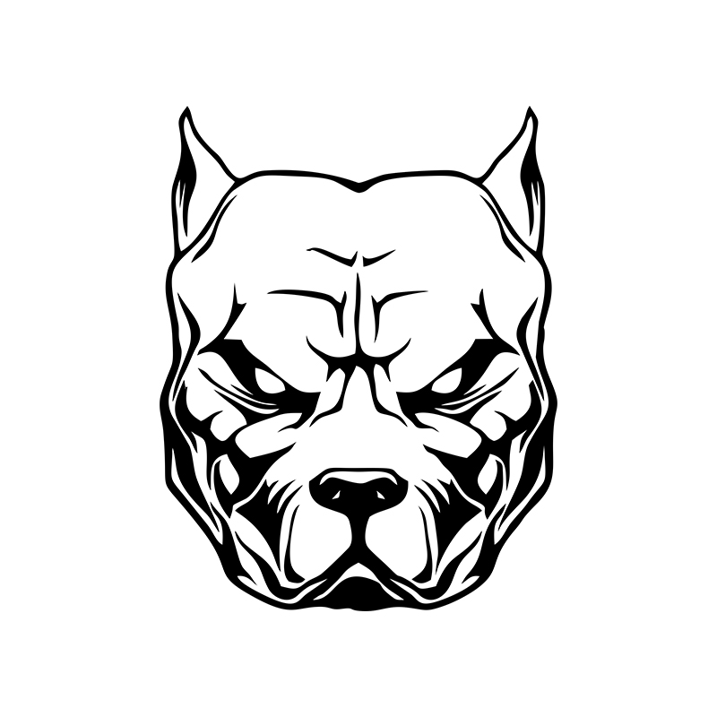 สติกเกอร์ติดมอเตอร์ไซค์ลายสุนั - Motorcycle Gear Dogs บทวิจารณ์และราคา