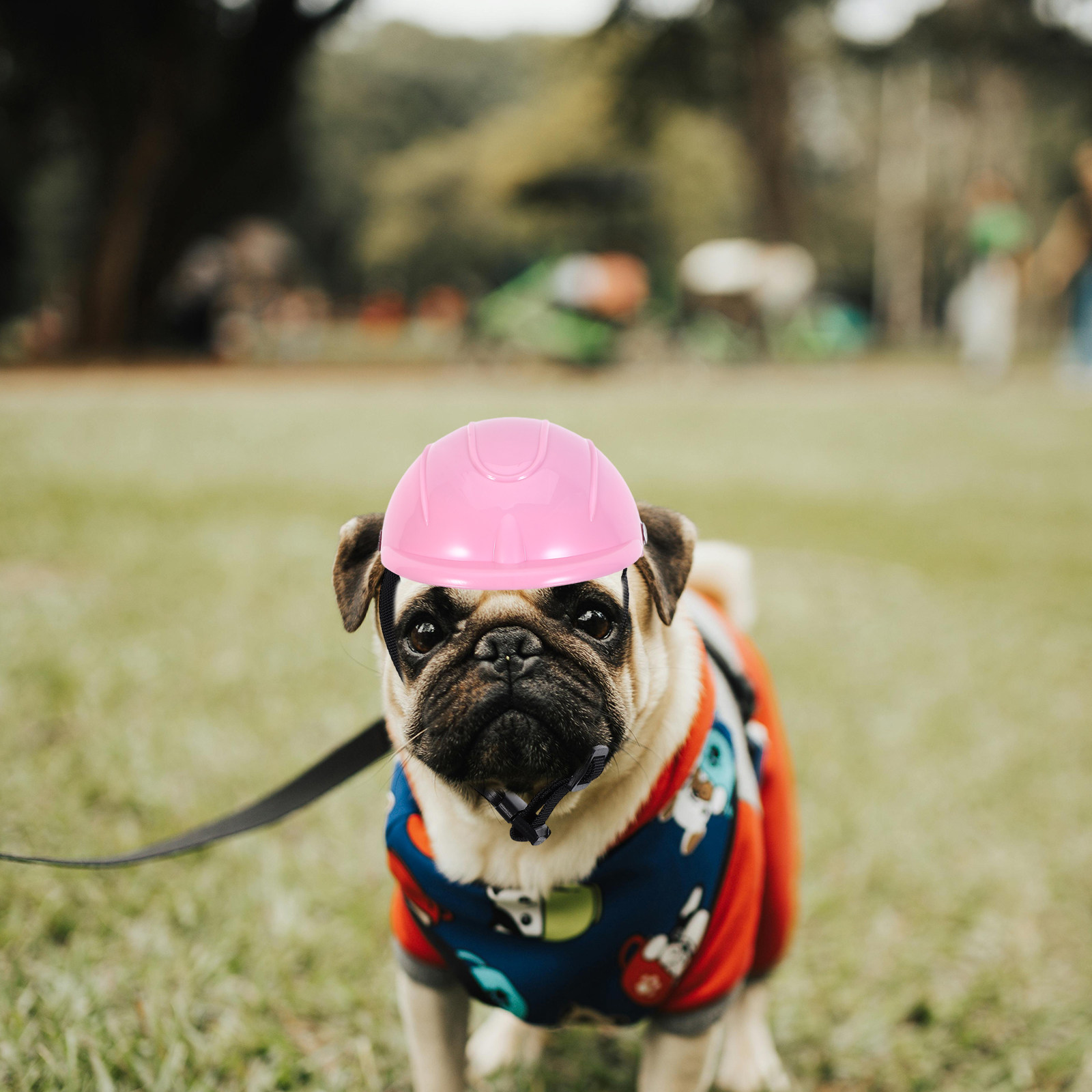 หมวกนิรภัยปรับได้สำหรับสุนัขตั - Motorcycle Gear Dogs บทวิจารณ์และราคา
