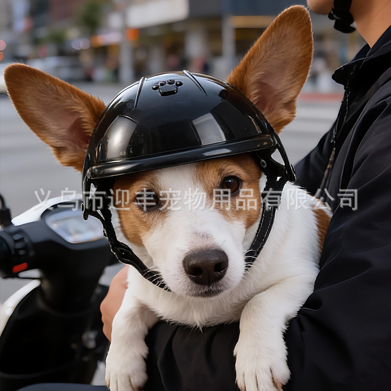 หมวกกันน็อคสำหรับสัตว์เลี้ยงสี - Motorcycle Gear Dogs บทวิจารณ์และราคา