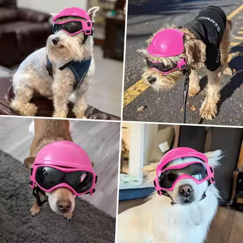 ชุดแว่นตาหมวกกันน็อคมอเตอร์ไซค - Motorcycle Gear Dogs บทวิจารณ์และราคา