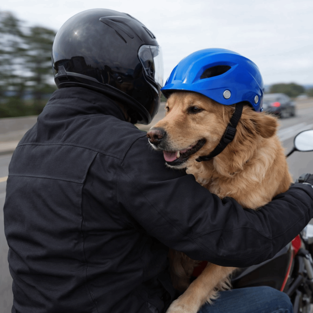 หมวกสัตว์เลี้ยง หมวกกันน็อคสุน - Motorcycle Gear Dogs บทวิจารณ์และราคา